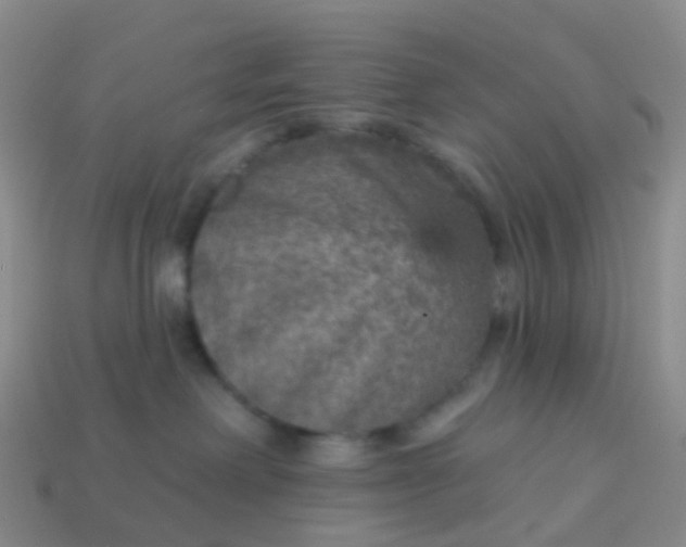 X0000113880238200910081753