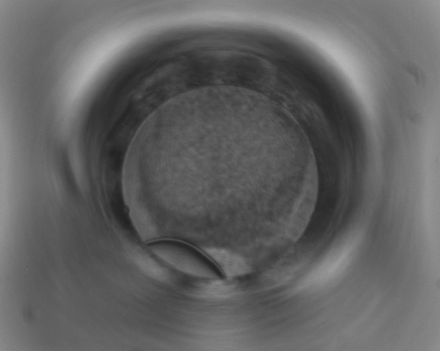 X0000113880239200910081753