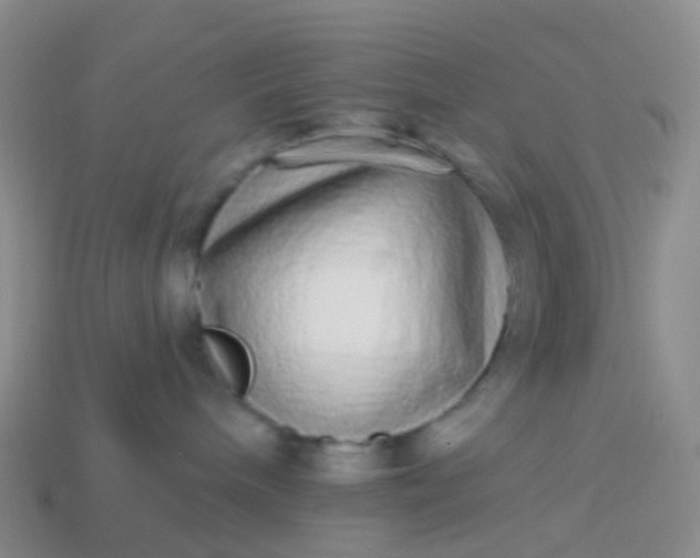 X0000113880240200910081753