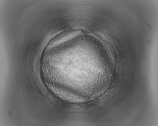 X0000113880241200910081753