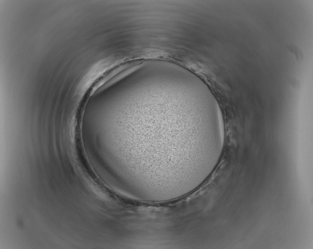 X0000113880242200910081753