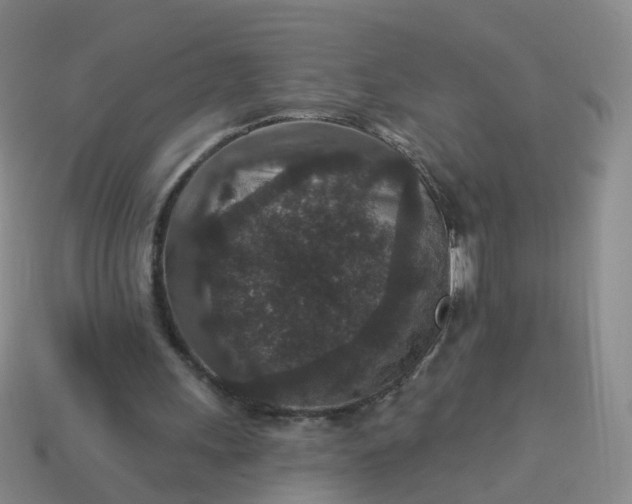 X0000113880243200910081753