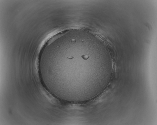 X0000113880244200910081753