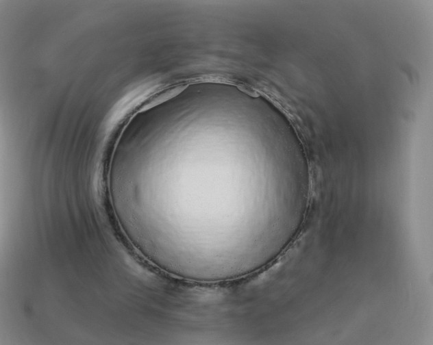 X0000113880245200910081753