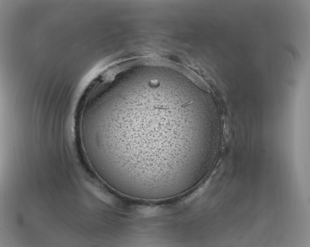 X0000113880246200910081753