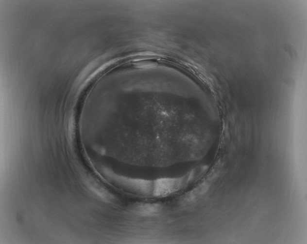 X0000113880247200910081753