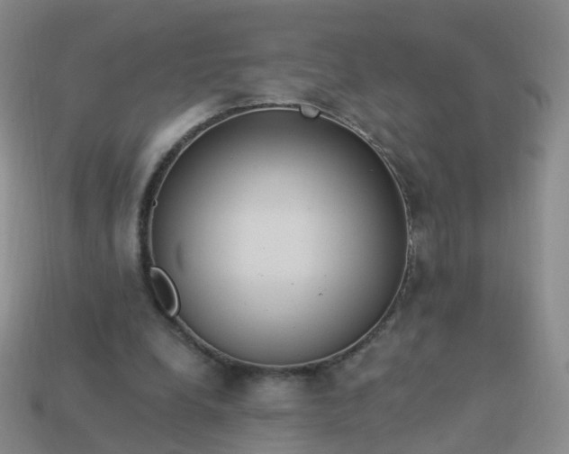 X0000113880248200910081753