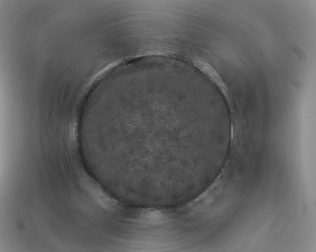 X0000113880249200910081753