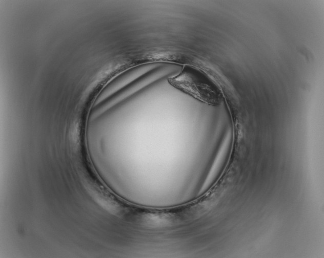 X0000113880250200910081753