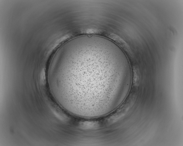 X0000113880251200910081753