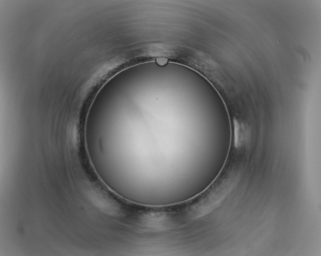 X0000113880252200910081753