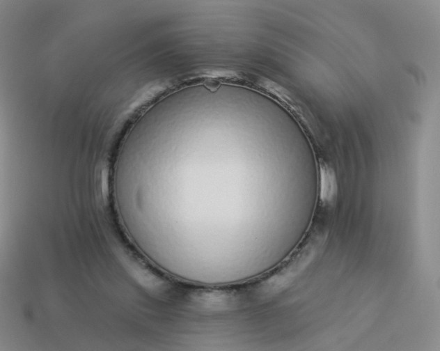 X0000113880253200910081753