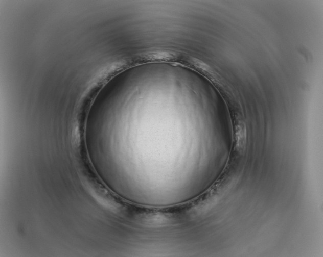 X0000113880254200910081753