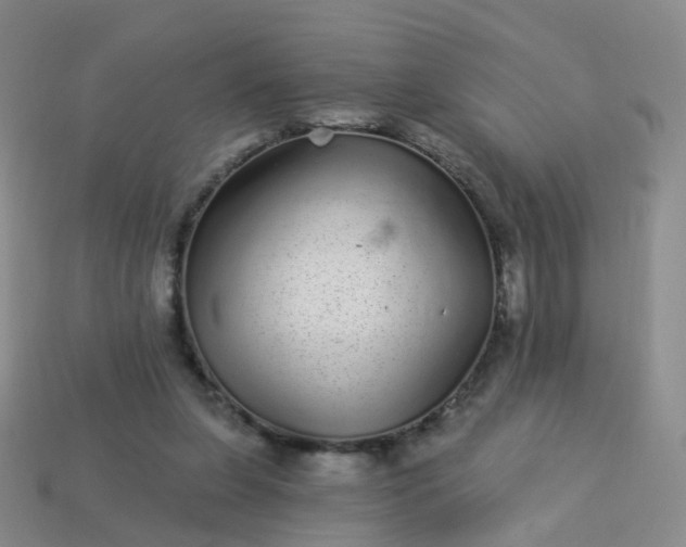 X0000113880255200910081753