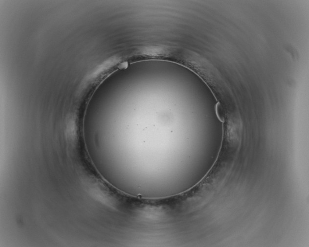 X0000113880256200910081753