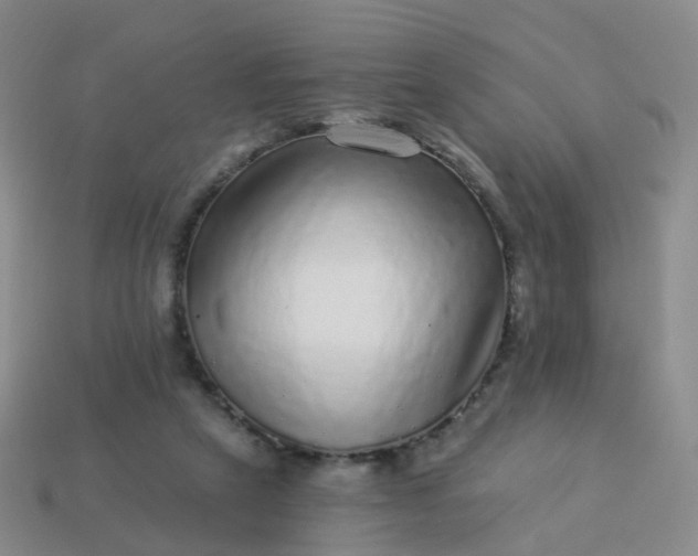 X0000113880257200910081753