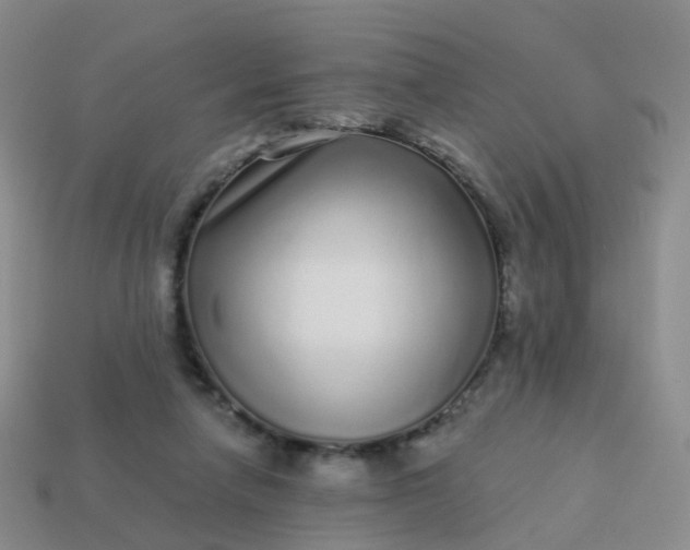 X0000113880258200910081753