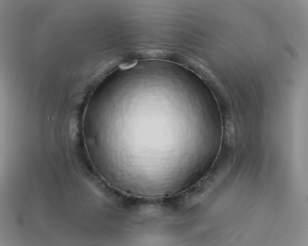 X0000113880259200910081753