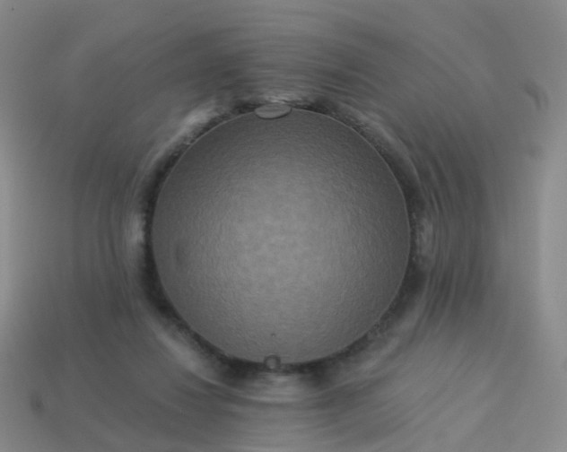 X0000113880260200910081753