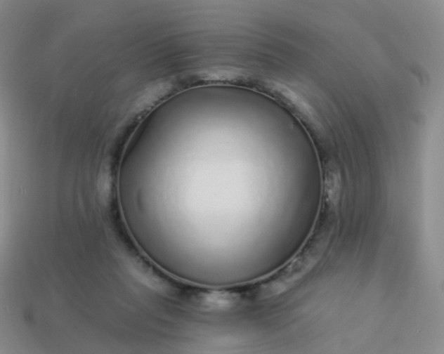 X0000113880261200910081753