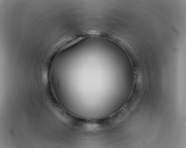 X0000113880262200910081753