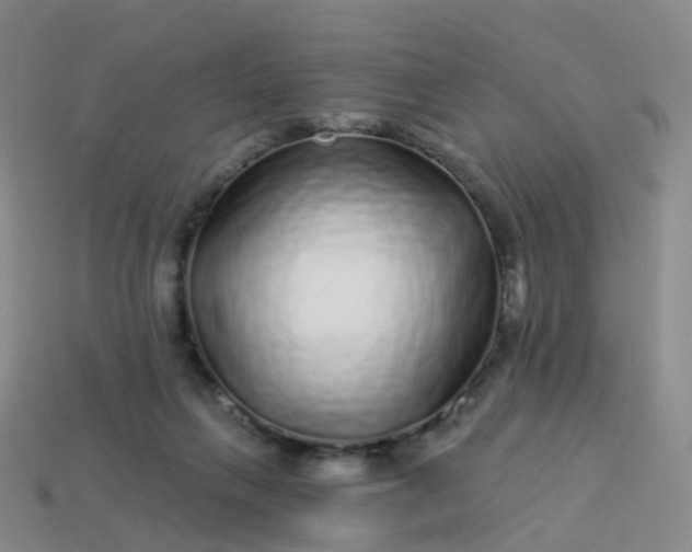 X0000113880263200910081753