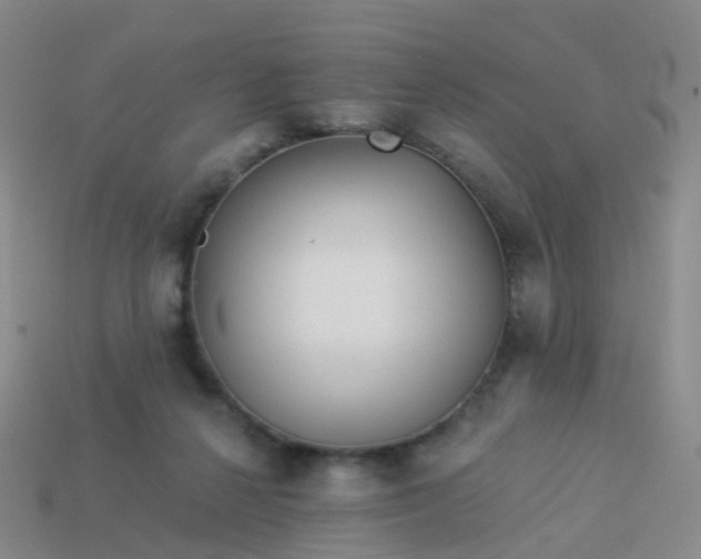 X0000113880264200910081753