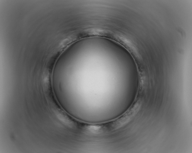 X0000113880265200910081753