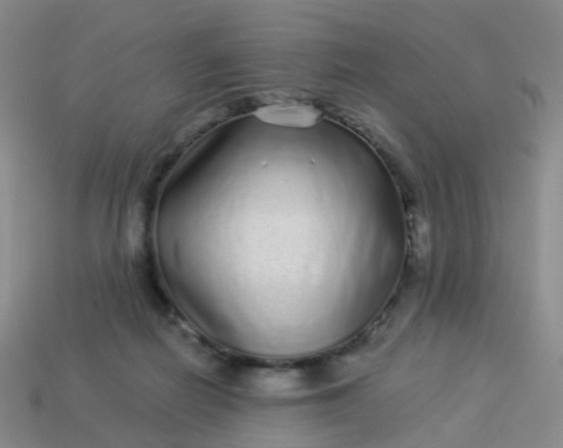 X0000113880266200910081753