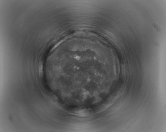 X0000113880267200910081753