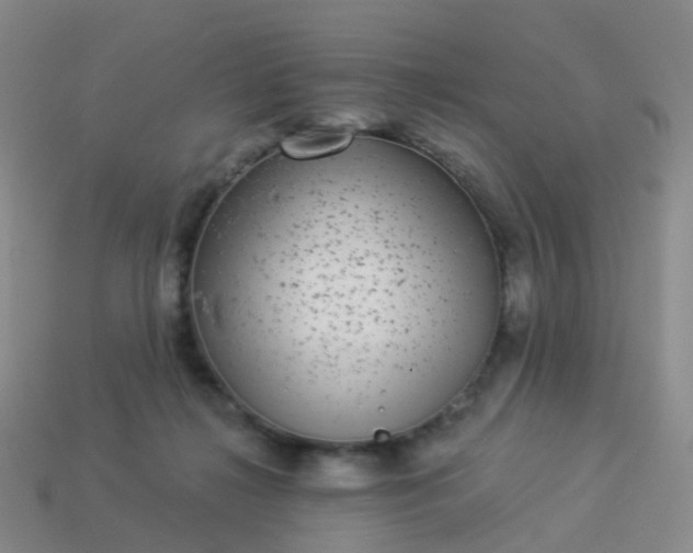 X0000113880268200910081753