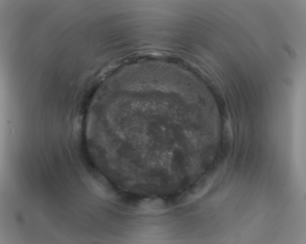 X0000113880271200910081753