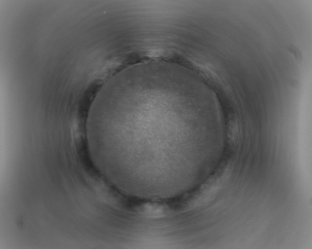 X0000113880272200910081753