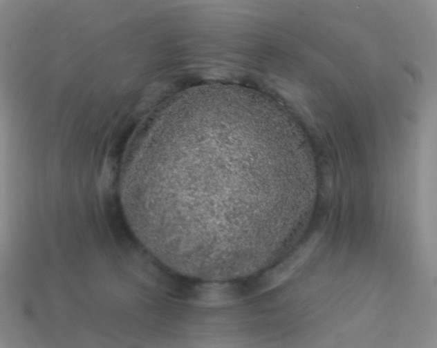 X0000113880273200910081753