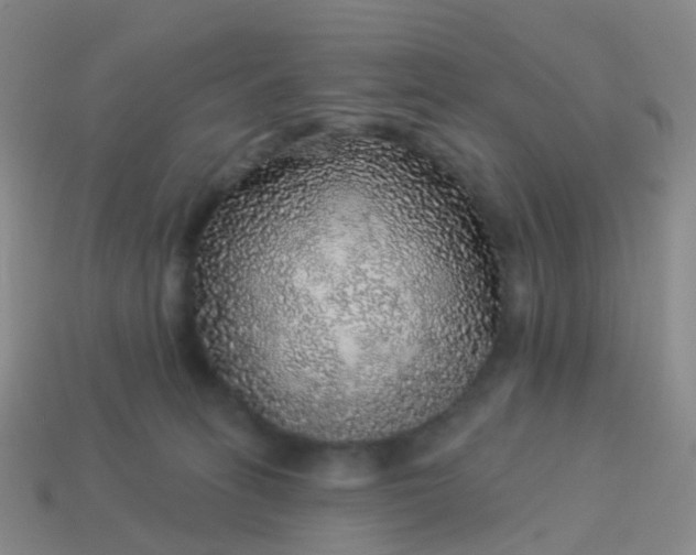 X0000113880275200910081753