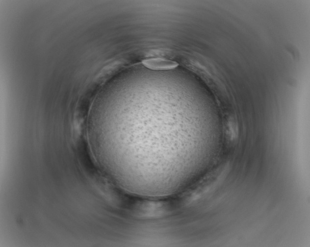 X0000113880276200910081753