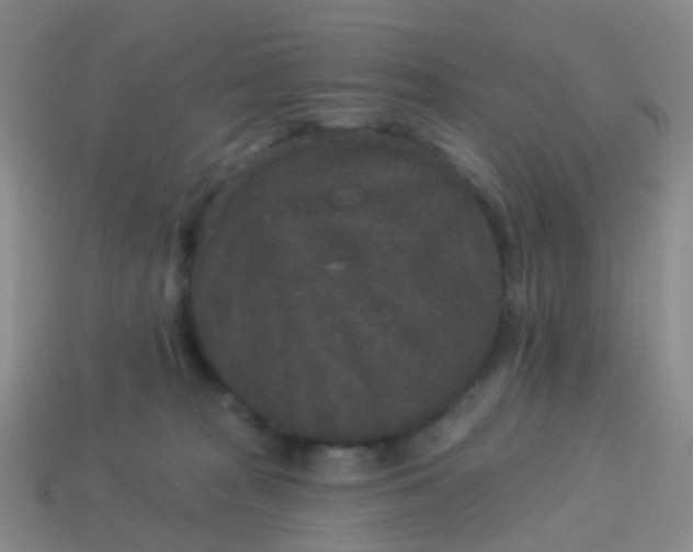 X0000113880277200910081753