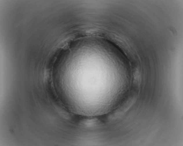 X0000113880278200910081753