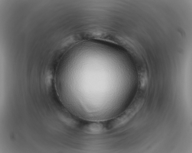 X0000113880279200910081753