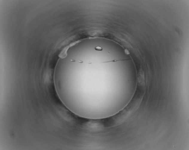 X0000113880280200910081753