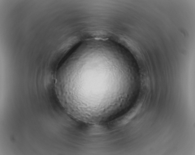 X0000113880281200910081753