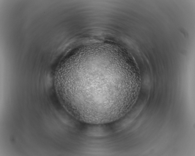 X0000113880282200910081753