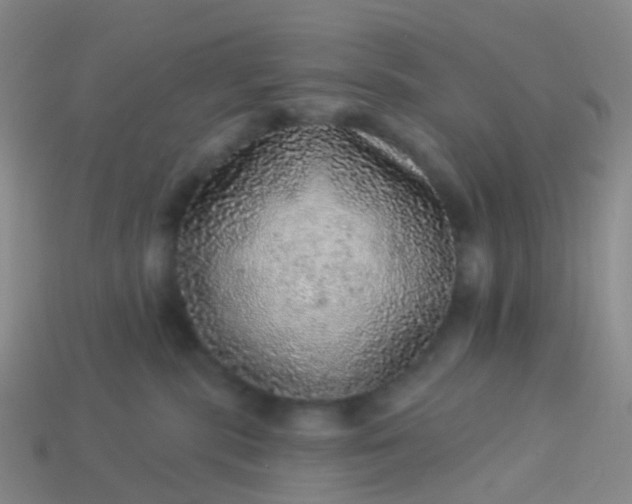 X0000113880283200910081753