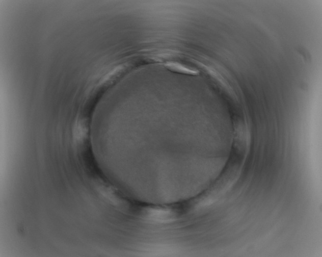 X0000113880284200910081753