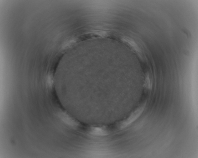 X0000113880285200910081753