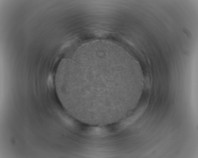 X0000113880286200910081753