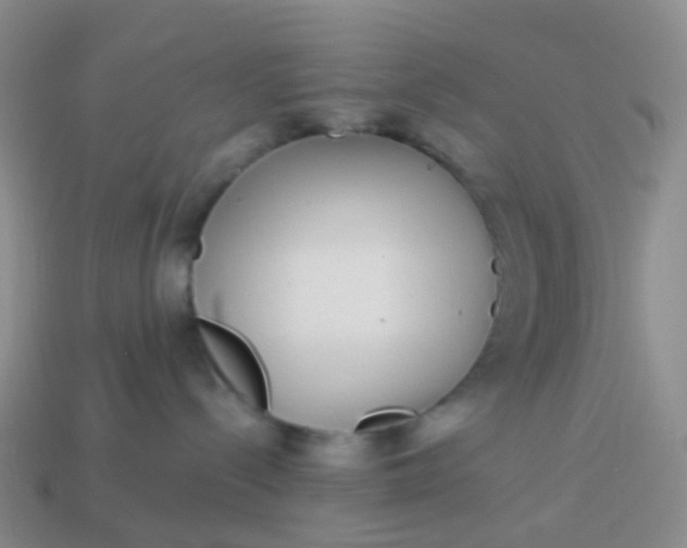 X0000113880288200910081753