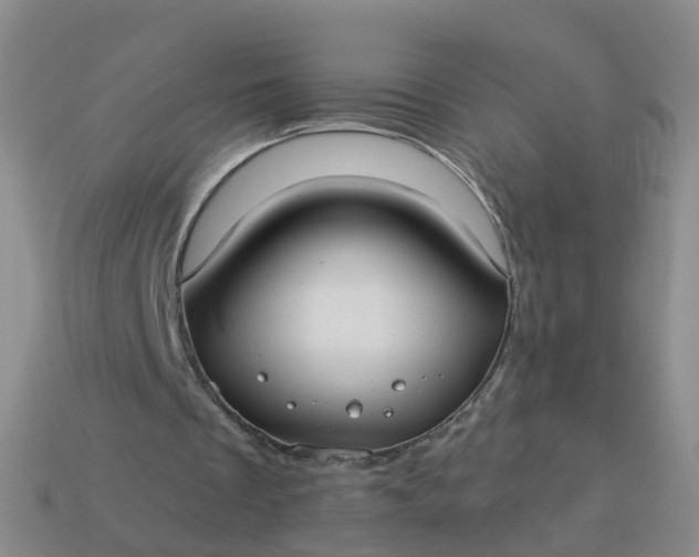 X0000113880289200910081753