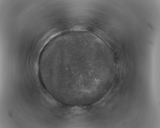 X0000113880290200910081753