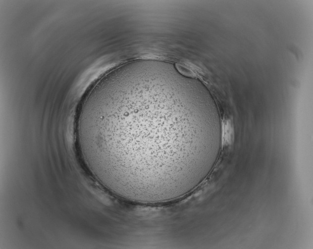 X0000113880291200910081752